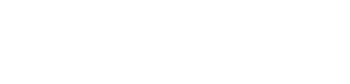 Aaayan Systems